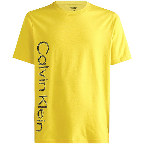 Abbigliamento Uomo T-shirt & Polo Calvin Klein Jeans 00GMS2K124 Giallo