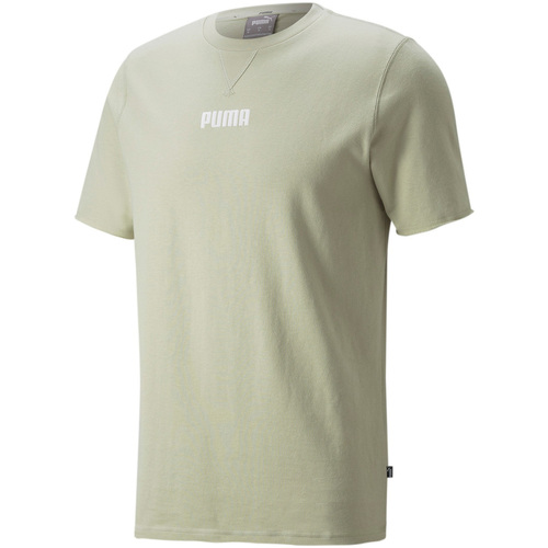 Abbigliamento Uomo T-shirt & Polo Puma 848443 Verde