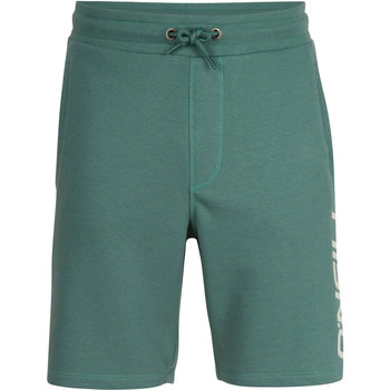 Abbigliamento Uomo Shorts / Bermuda O'neill Essentials Verde