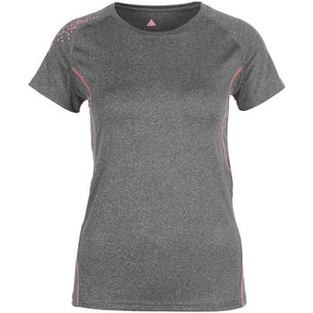 Abbigliamento Donna T-shirt maniche corte Peak Mountain T-shirt manches courtes femme ANSHO Grigio