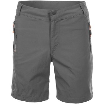 Abbigliamento Uomo Shorts / Bermuda Peak Mountain Short de randonnée homme CUAD Grigio
