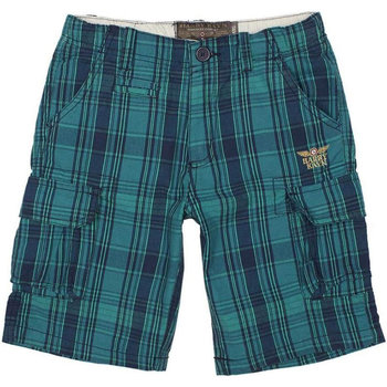 Abbigliamento Bambino Shorts / Bermuda Harry Kayn Bermuda garçon ECANOR Verde
