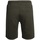 Abbigliamento Uomo Shorts / Bermuda Mario Russo Pique Short Verde