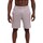 Abbigliamento Uomo Shorts / Bermuda Champion  Grigio