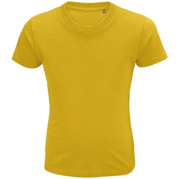 Abbigliamento Unisex bambino T-shirt & Polo Sols CRUSADER KIDS Giallo