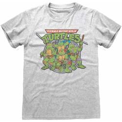 Abbigliamento T-shirts a maniche lunghe Teenage Mutant Ninja Turtles HE878 Grigio