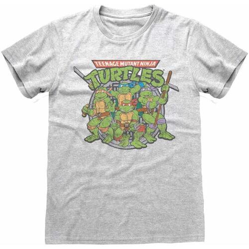 Abbigliamento T-shirts a maniche lunghe Teenage Mutant Ninja Turtles  Grigio