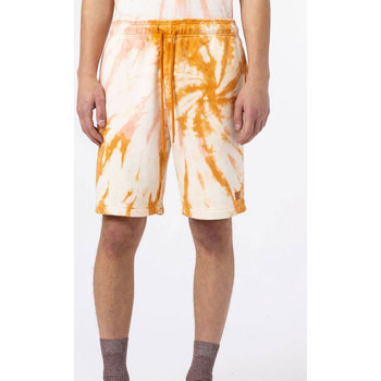 Abbigliamento Shorts / Bermuda Dickies Seatac Short Arancio