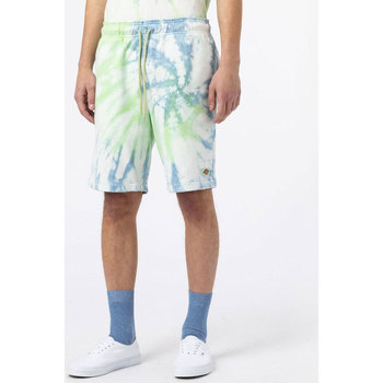 Abbigliamento Shorts / Bermuda Dickies Seatac Short Verde