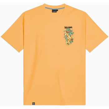 Abbigliamento T-shirt maniche corte Dolly Noire Palloni Da Basket Tee Orange Arancio