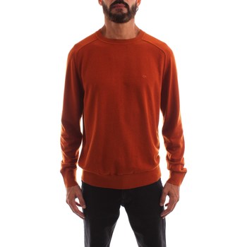 Abbigliamento Uomo T-shirt maniche corte Calvin Klein Jeans K10K110477 Marrone