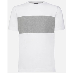 Abbigliamento Uomo T-shirt maniche corte Geox M1210F Bianco