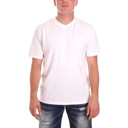 Abbigliamento Uomo T-shirt maniche corte Sseinse TE2101SS Bianco