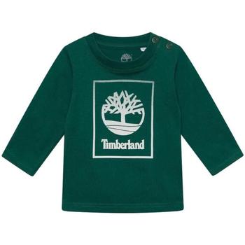 Abbigliamento Bambino T-shirt maniche corte Timberland  Verde