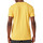 Abbigliamento Uomo T-shirt & Polo New-Era 13083935 Giallo