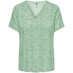 Abbigliamento Donna T-shirt & Polo JDY 15198141 Verde