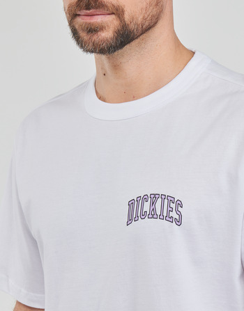 Dickies AITKIN CHEST TEE SS Bianco