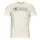Abbigliamento Uomo T-shirt maniche corte Tom Tailor 1035611 Beige