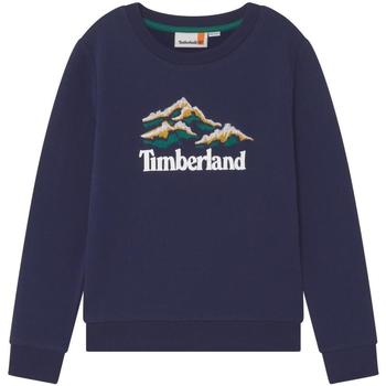 Timberland  Blu