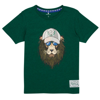 Abbigliamento Bambino T-shirt maniche corte Name it NKMTAKALA SS  TOP Verde