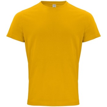 Abbigliamento Uomo T-shirts a maniche lunghe C-Clique Classic OC Multicolore