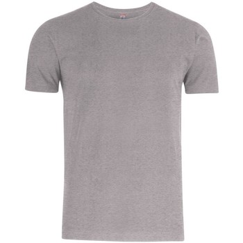 Abbigliamento Uomo T-shirts a maniche lunghe C-Clique Premium Grigio