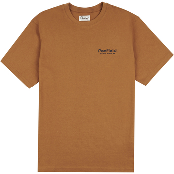 Abbigliamento Uomo T-shirt & Polo Penfield T-shirt  Arc Mountain Back Graphic Marrone