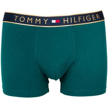Abbigliamento Uomo Camicie maniche lunghe Tommy Hilfiger  Verde