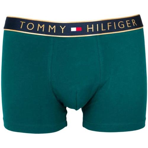 Abbigliamento Uomo Camicie maniche lunghe Tommy Hilfiger  Verde