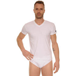 Abbigliamento Uomo T-shirt maniche corte Cane BASTIA Bianco