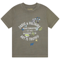 Abbigliamento Bambino T-shirt maniche corte Zadig & Voltaire X25353-65B-J Kaki