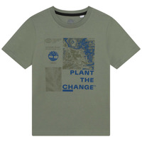 Abbigliamento Bambino T-shirt maniche corte Timberland T25T87 Kaki