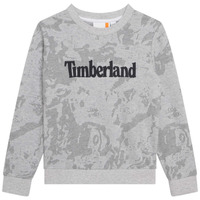 Abbigliamento Bambino Felpe Timberland T25U10-A32-C Grigio