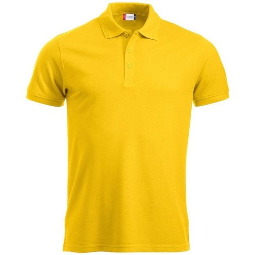 Abbigliamento Uomo T-shirt & Polo C-Clique Manhattan Multicolore