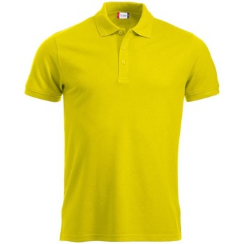 Abbigliamento Uomo T-shirt & Polo C-Clique Manhattan Multicolore