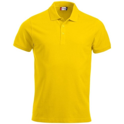 Abbigliamento Uomo T-shirt & Polo C-Clique Classic Lincoln Multicolore
