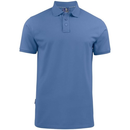 Abbigliamento Uomo T-shirt & Polo Projob UB675 Blu