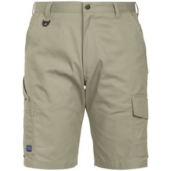 Abbigliamento Uomo Shorts / Bermuda Projob UB493 Multicolore