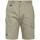 Abbigliamento Uomo Shorts / Bermuda Projob UB493 Multicolore