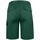 Abbigliamento Uomo Shorts / Bermuda Projob UB767 Verde