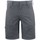 Abbigliamento Uomo Shorts / Bermuda Projob UB786 Grigio