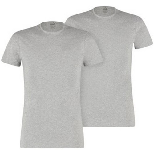Abbigliamento T-shirts a maniche lunghe Puma CS739 Grigio