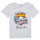Abbigliamento Bambina T-shirt maniche corte Only KOGALICE-REG-S/S-BURNING-TOP-BOX-JRS Bianco
