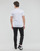 Abbigliamento Uomo T-shirt maniche corte Calvin Klein Jeans MICRO MONOLOGO TEE Bianco