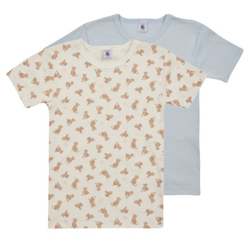 Abbigliamento Bambino T-shirt maniche corte Petit Bateau A074M00 X2 Multicolore