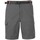 Abbigliamento Uomo Shorts / Bermuda Trespass Rathkenny Grigio
