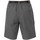 Abbigliamento Uomo Shorts / Bermuda Trespass Rathkenny Grigio