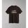 Abbigliamento T-shirt & Polo Napapijri S-FREESTTLE SS - NP0A4GM4WA91-BROWN Marrone