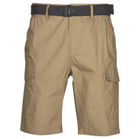 Abbigliamento Uomo Shorts / Bermuda Oxbow P10RAGO Beige
