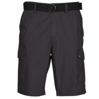 Abbigliamento Uomo Shorts / Bermuda Oxbow P10RAGO Grigio / Scuro